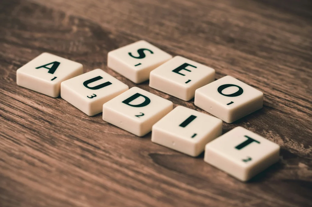 website audit image for Harley's SEO portfolio